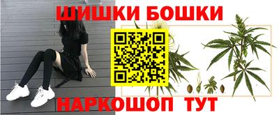 кокс Шебекино