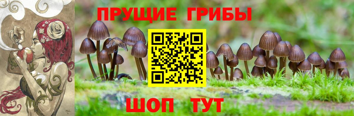 Псилоцибиновые грибы Magic Shrooms  Вход с VPN  Грозный 